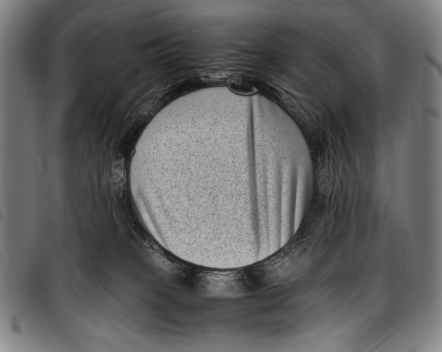 X0000097000085200802291157