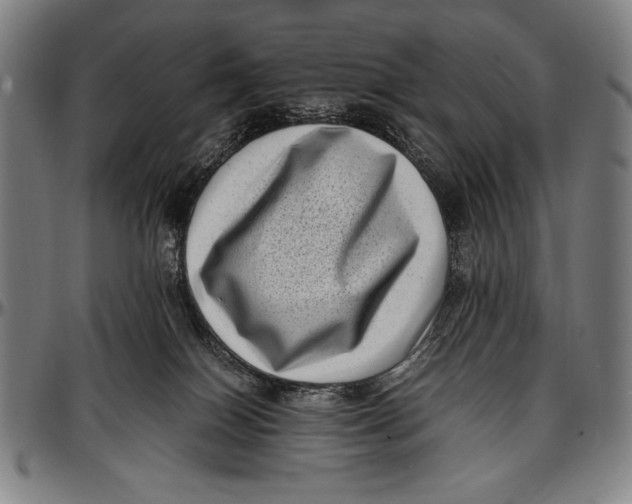 X0000097000086200802291157