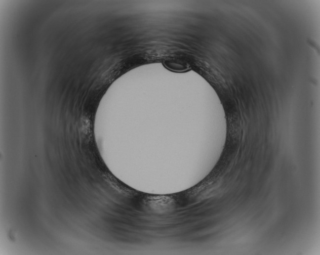 X0000097000087200802291157