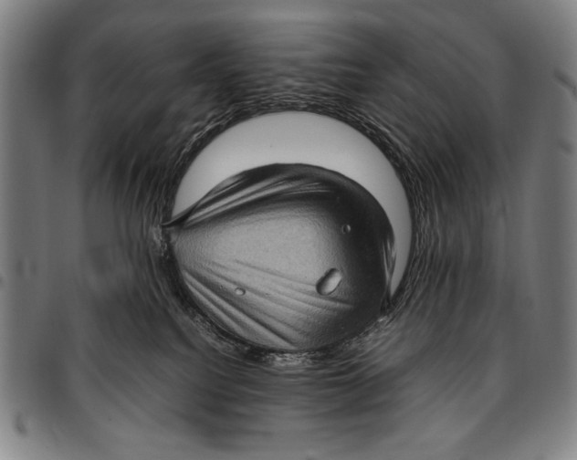 X0000097000088200802291157