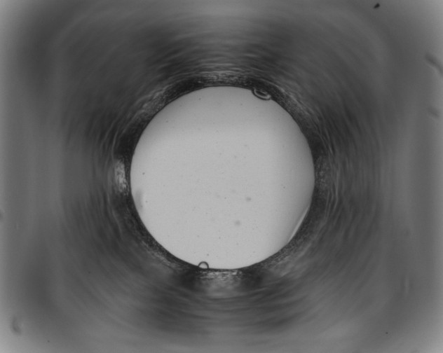 X0000097000089200802291157