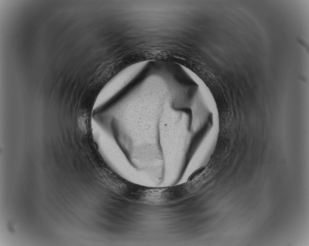 X0000097000090200802291157