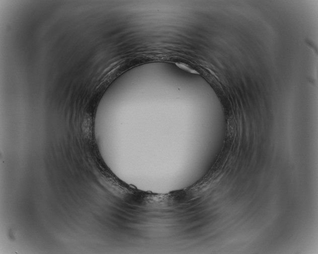 X0000097000092200802291157