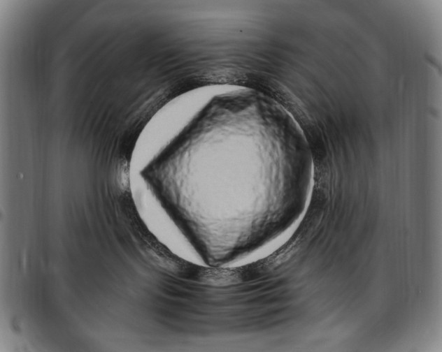 X0000097000095200802291157