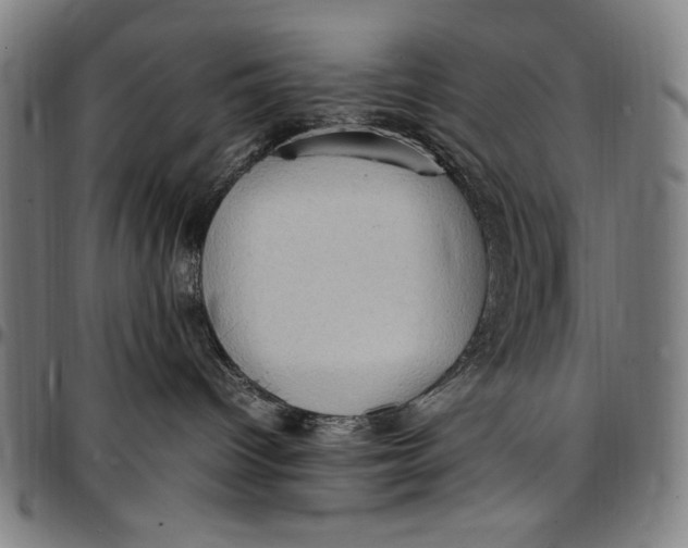 X0000097000096200802291157