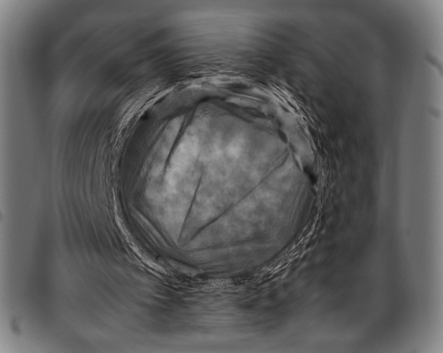 X0000097000097200802291157