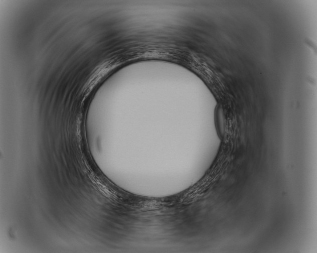 X0000097000098200802291157