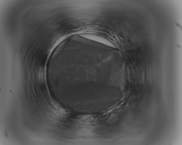 X0000097000100200802291157