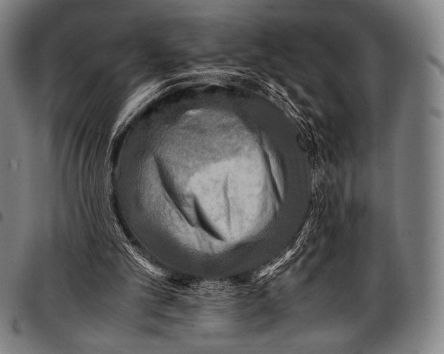 X0000097000101200802291157