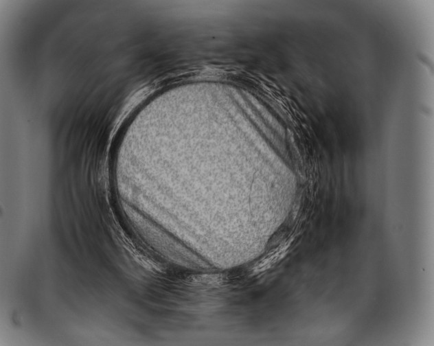 X0000097000102200802291157