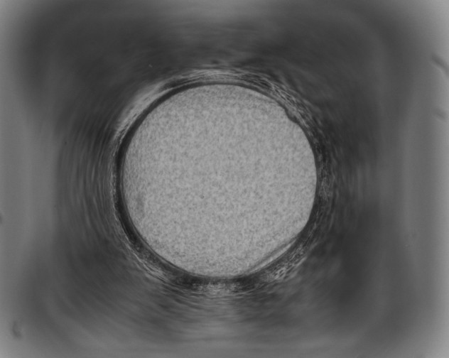 X0000097000103200802291157