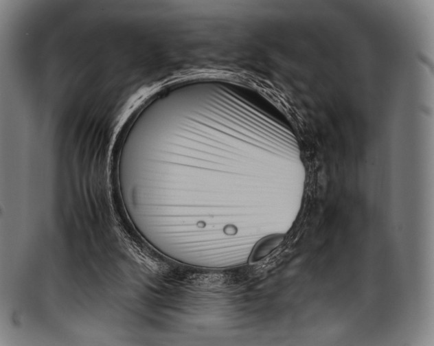 X0000097000104200802291157