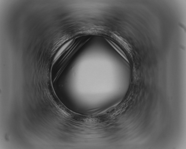 X0000097000105200802291157