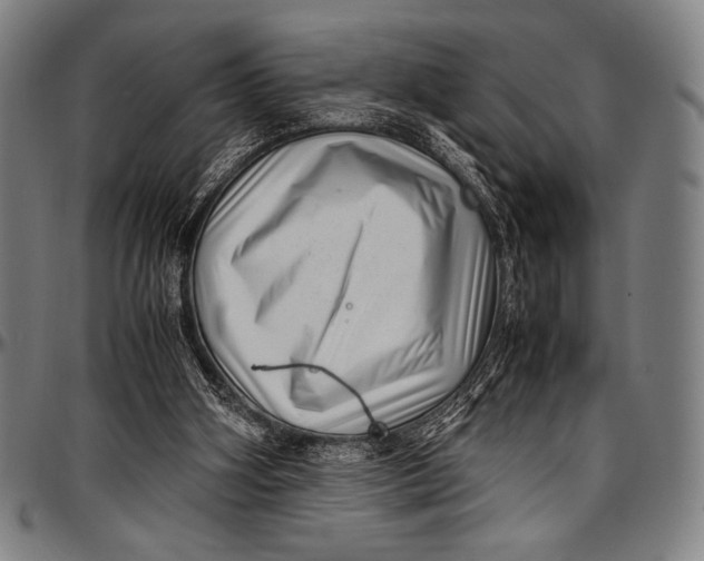 X0000097000106200802291157