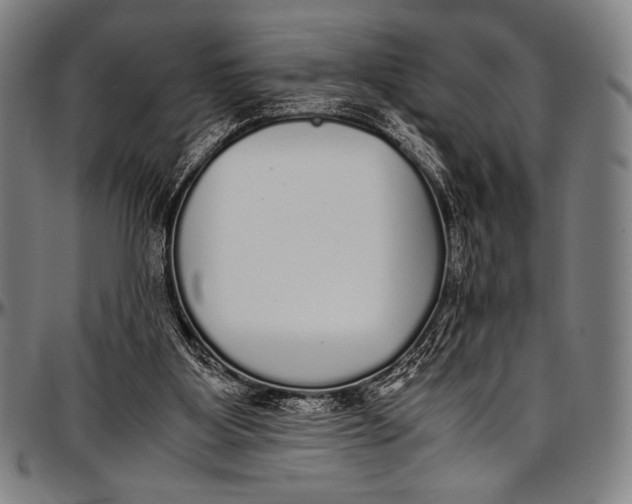 X0000097000107200802291157