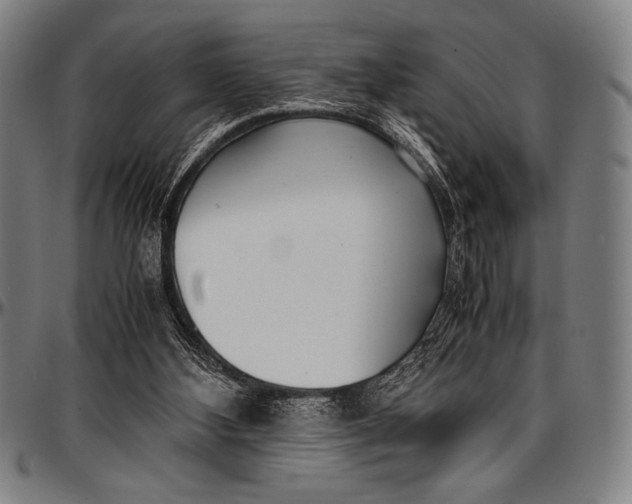 X0000097000108200802291157