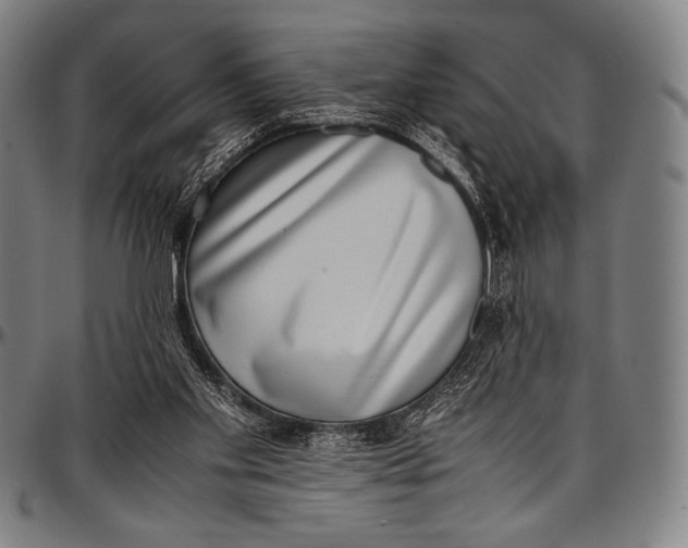 X0000097000109200802291157