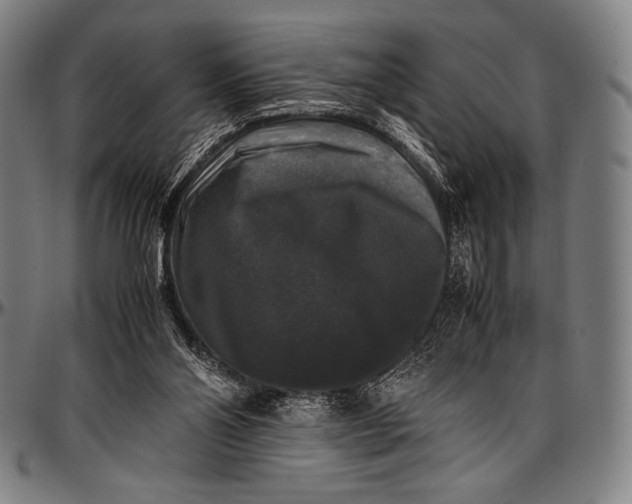 X0000097000110200802291157