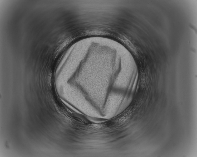 X0000097000111200802291156