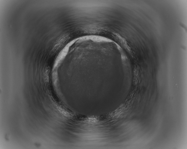 X0000097000114200802291156