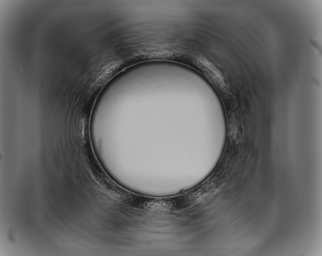 X0000097000115200802291156