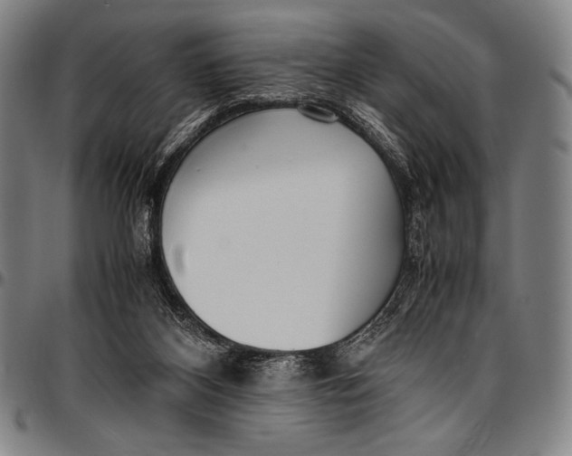 X0000097000116200802291156