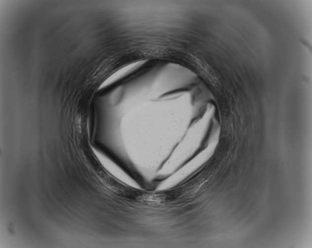 X0000097000117200802291156