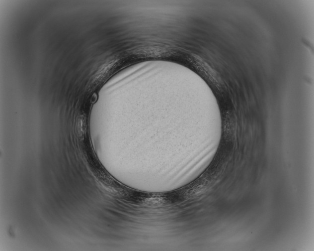 X0000097000119200802291156