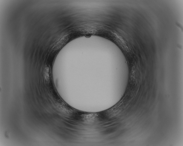 X0000097000122200802291156