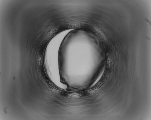 X0000097000123200802291156