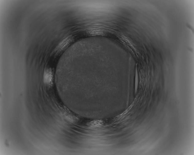 X0000097000124200802291156