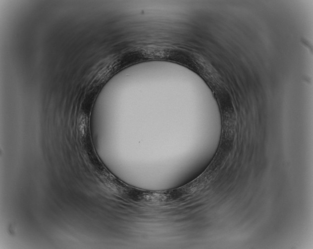 X0000097000125200802291156