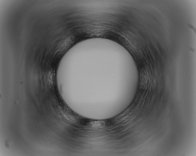 X0000097000126200802291156