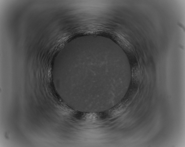 X0000097000127200802291156