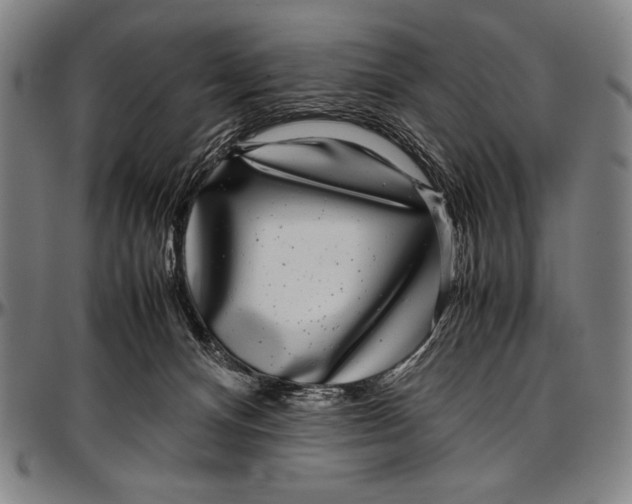 X0000097000128200802291156