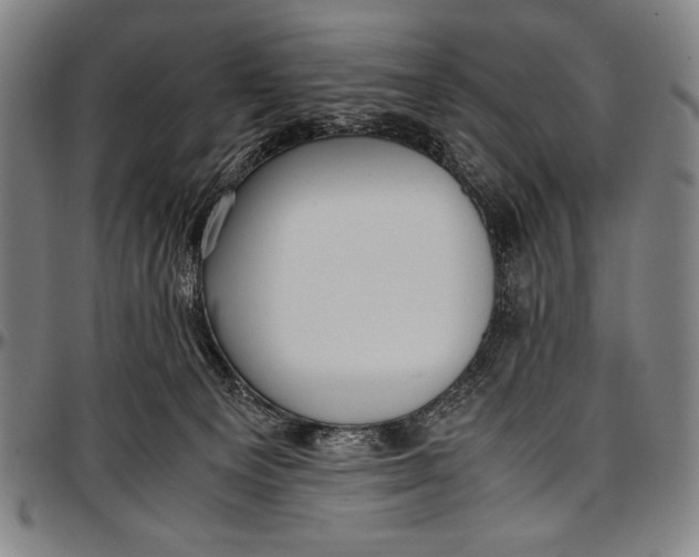 X0000097000129200802291156