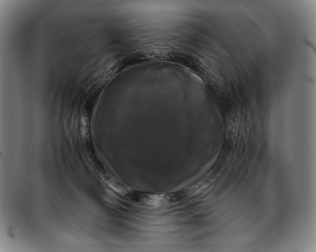 X0000097000130200802291156