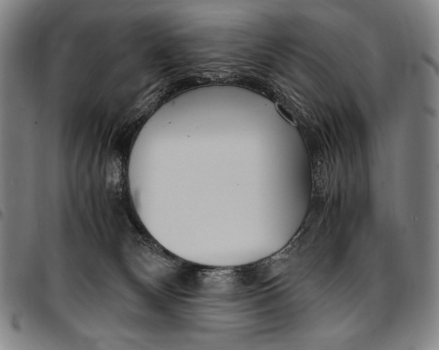 X0000097000132200802291156