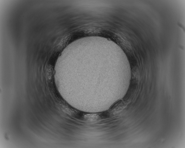 X0000097000133200802291156