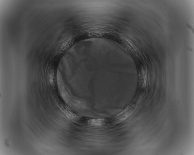 X0000097000134200802291156