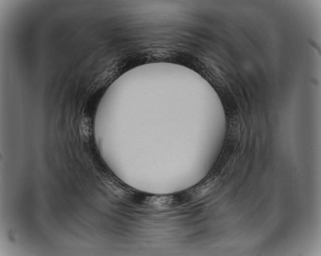 X0000097000135200802291156