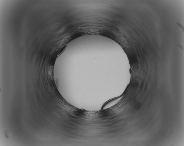 X0000097000141200802291156