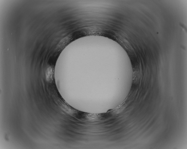 X0000097000142200802291156