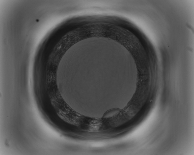 X0000097000143200802291156