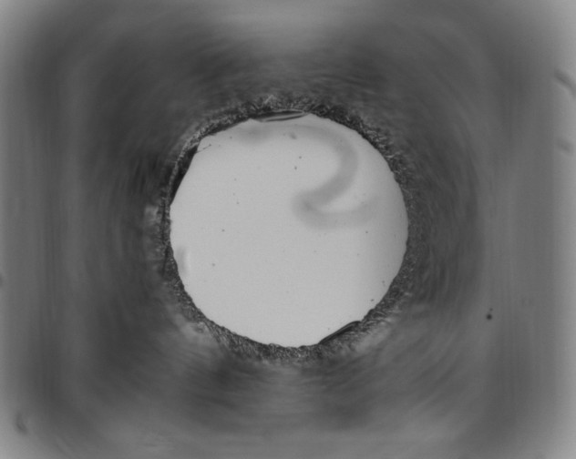 X0000097000144200802291156