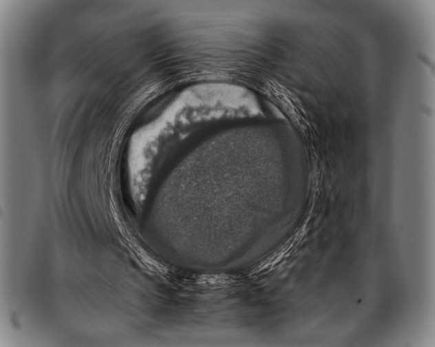 X0000097000145200802291155