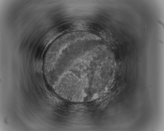 X0000097000146200802291155