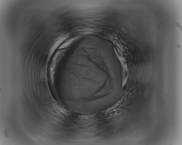 X0000097000147200802291155