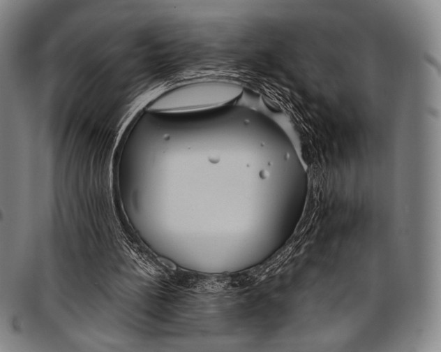 X0000097000148200802291155