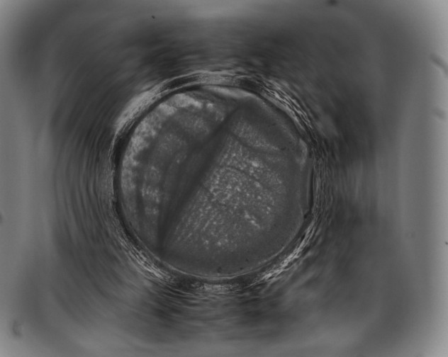 X0000097000149200802291155